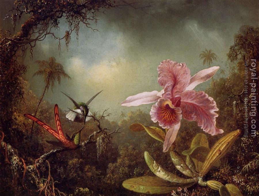 Martin Johnson Heade : Orchid and Two Hummingbirds